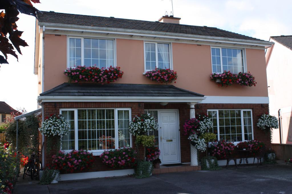 Cillcearn House Bed and Breakfast Killarney Buitenkant foto